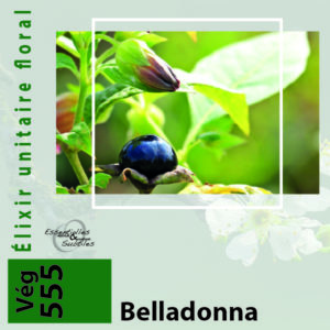 Élixir floral Belladonna
