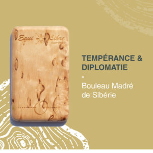 Tempérance et diplomatie – BOULEAU MADRÉ DE SIBÉRIE