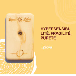 Hypersensibilité, fragilité, pureté – ÉPICÉA