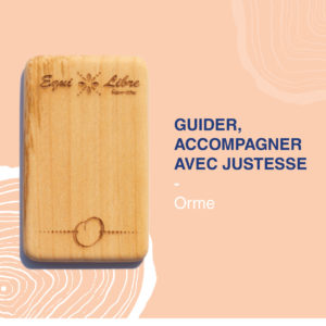 Guider, accompagner avec justesse – ORME