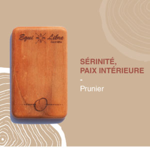 Sérénité, Paix intérieure – PRUNIER