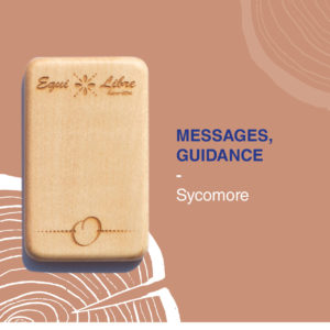 Messages, guidance – SYCOMORE